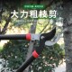 Long handled pruning scissors, specialized for pruning fruit trees, garden pruning tools, powerful pruning scissors for fruit trees