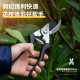 Tools for flower and fruit tree pruning, labor-saving household gardening scissors, garden pruning tool DL580203