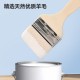 Deli Tool Wool Brush Paint Brush Latex Paint Multi functional Soft Hair Baking Barbecue Portable Oil Brush