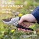 Tools for flower and fruit tree pruning, labor-saving household gardening scissors, garden pruning tool DL580203