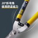 Powerful Tool DL2806 Garden Flower Art Pruning Branch Scissors Fruit Tree Scissors Thick and Strong Horticultural Scissors