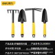 Deli Tools Gardening Shovel, hoe, and rake set of four pieces for household flowers, small soil loosening and weeding set DL580804